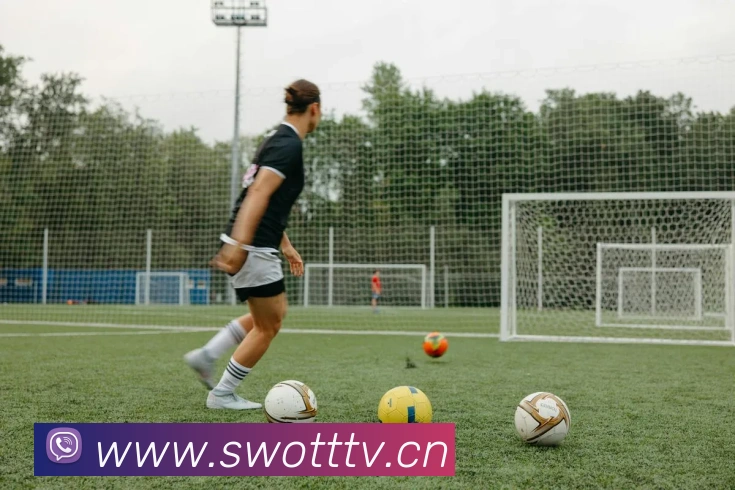 星空体育首页官网发展历程